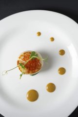 food06.jpeg