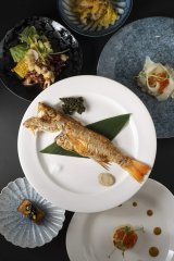food11.jpeg